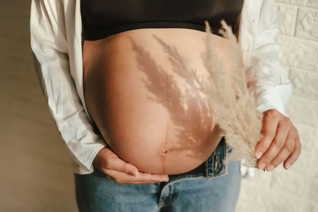 Close view of an expectant mother's bare bump with a pampas grass shadow, white shirt and jeans, maternity photoshoot at WonderBump Studio, Bengaluru