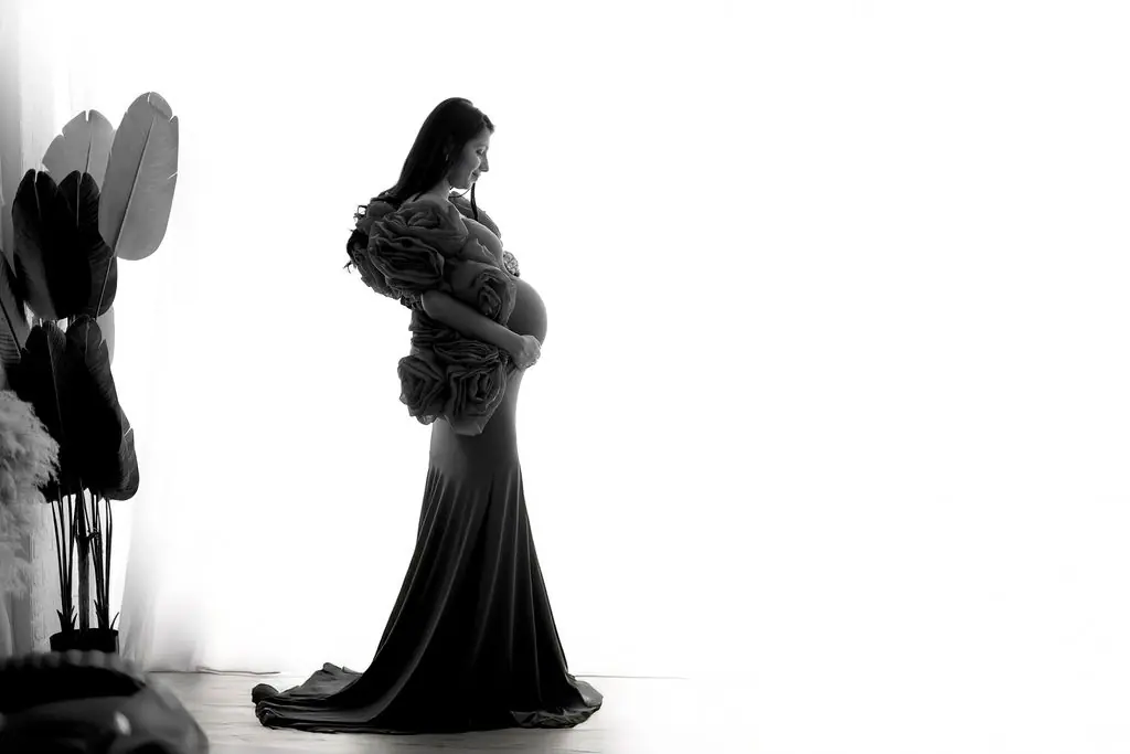 Silhouette of an expectant mother in a rose-sleeved gown holding her bump against bright curtains, maternity photoshoot at WonderBump Studio, Bengaluru