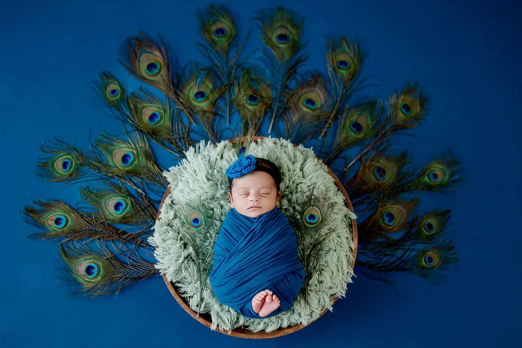 Sleeping newborn swaddled in blue in a fur-lined bowl, peacock feathers fanned out on a blue backdrop, newborn photoshoot at WonderBump Studio, Bengaluru